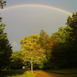 Pinecrest Rainbow-1 5.46.07 PM